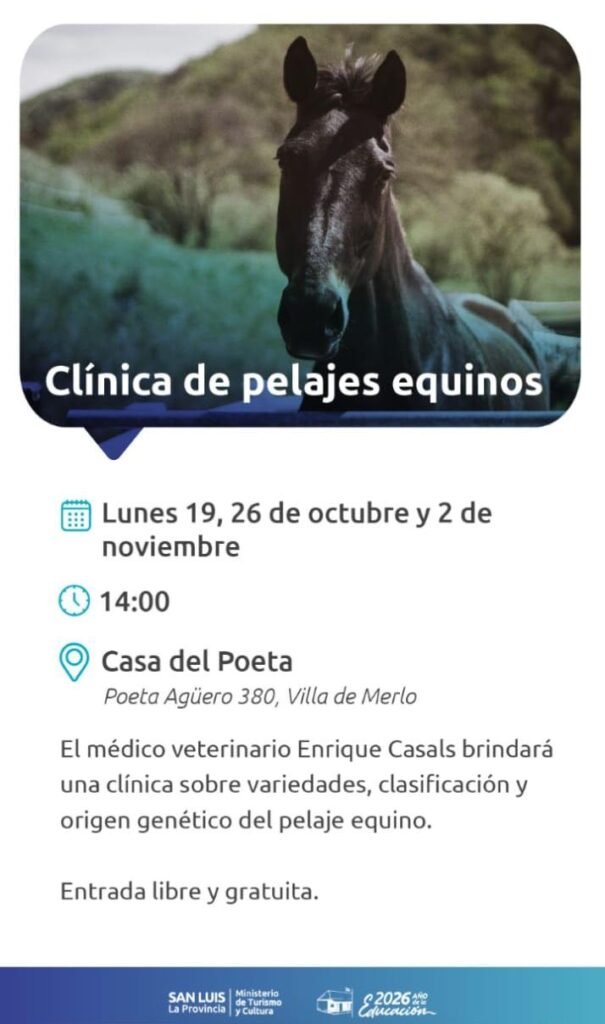 Clínica de pelajes equinos